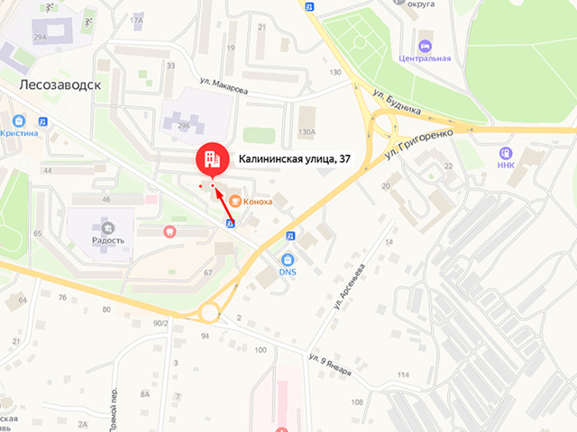 Отделение судебных приставов по Лесозаводскому городскому округу