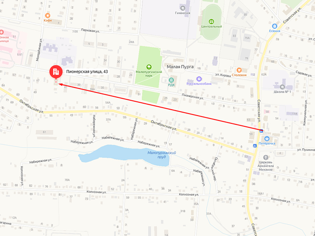 Малопургинское районное отделение судебных приставов