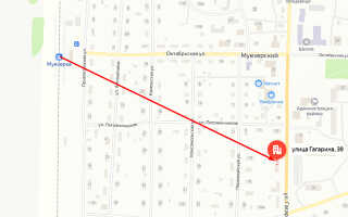 Судебные приставы п.г.т. Муезерский