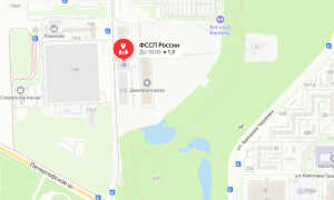 Судебные приставы Красносельского района Санкт-Петербурга