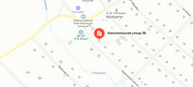 Судебные приставы с. Кунгуртуг