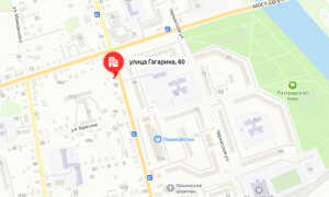 Судебные приставы Орловского района