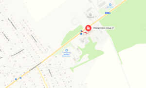 Судебные приставы г. Порхов