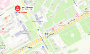 Судебные приставы Пермского края