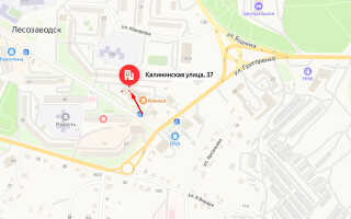 Судебные приставы г. Лесозаводск