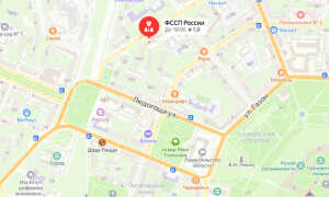 Судебные приставы Великого Новгорода