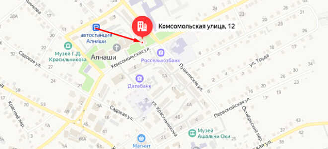 Судебные приставы с. Алнаши